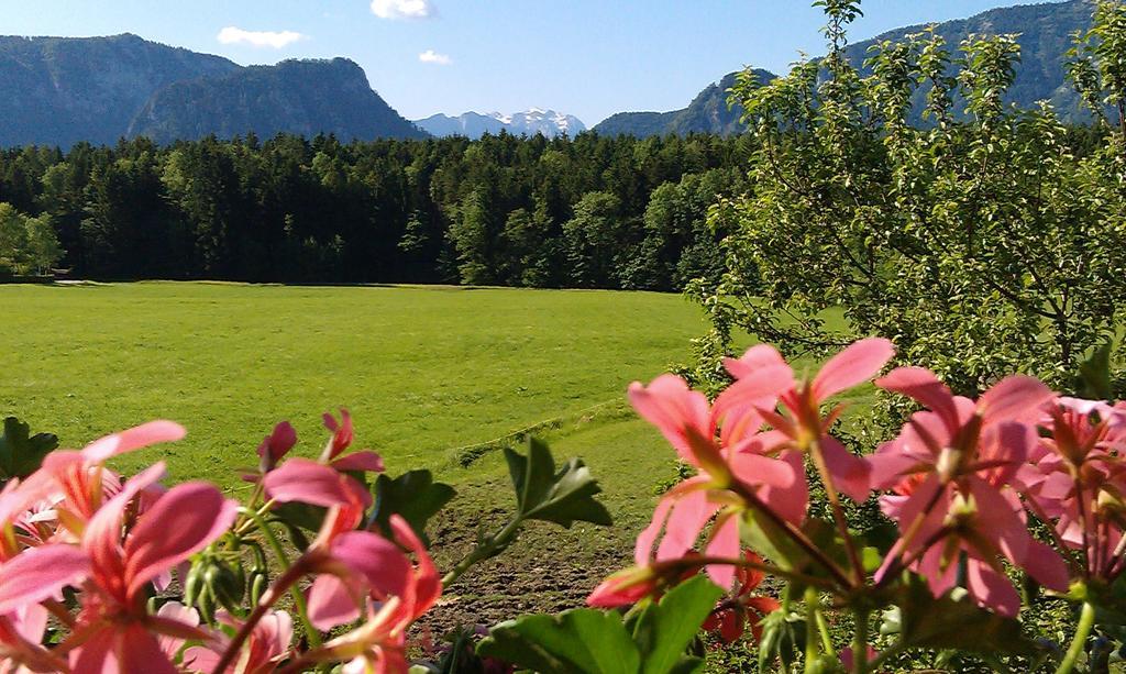 Gaestehaus Restner - Chiemgau Karte Inzell Exterior foto